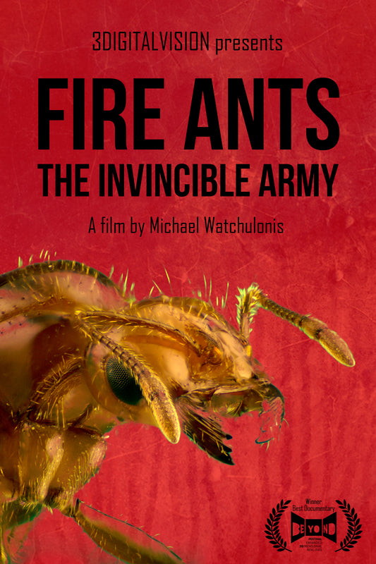 Fire Ants: The Invincible Army